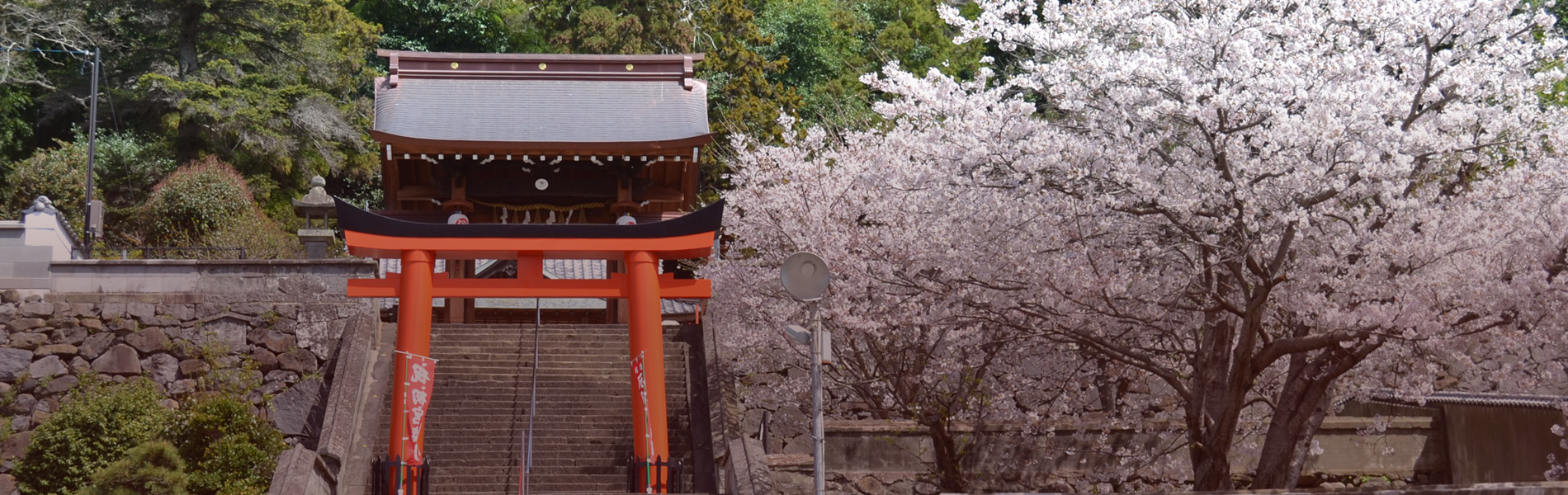 IOSダイレクト23系赤2個　坂ちゃん掲示 長崎市鎮座 ぎおん社 八坂神社｜【公式】オフィシャルサイト | 崎市に