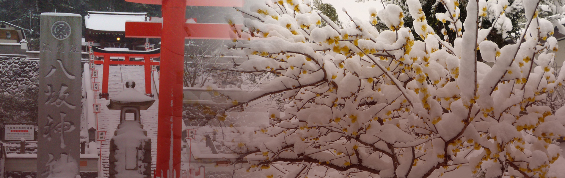 長崎市鎮座 ぎおん社 八坂神社｜【公式】オフィシャルサイト | 崎市に